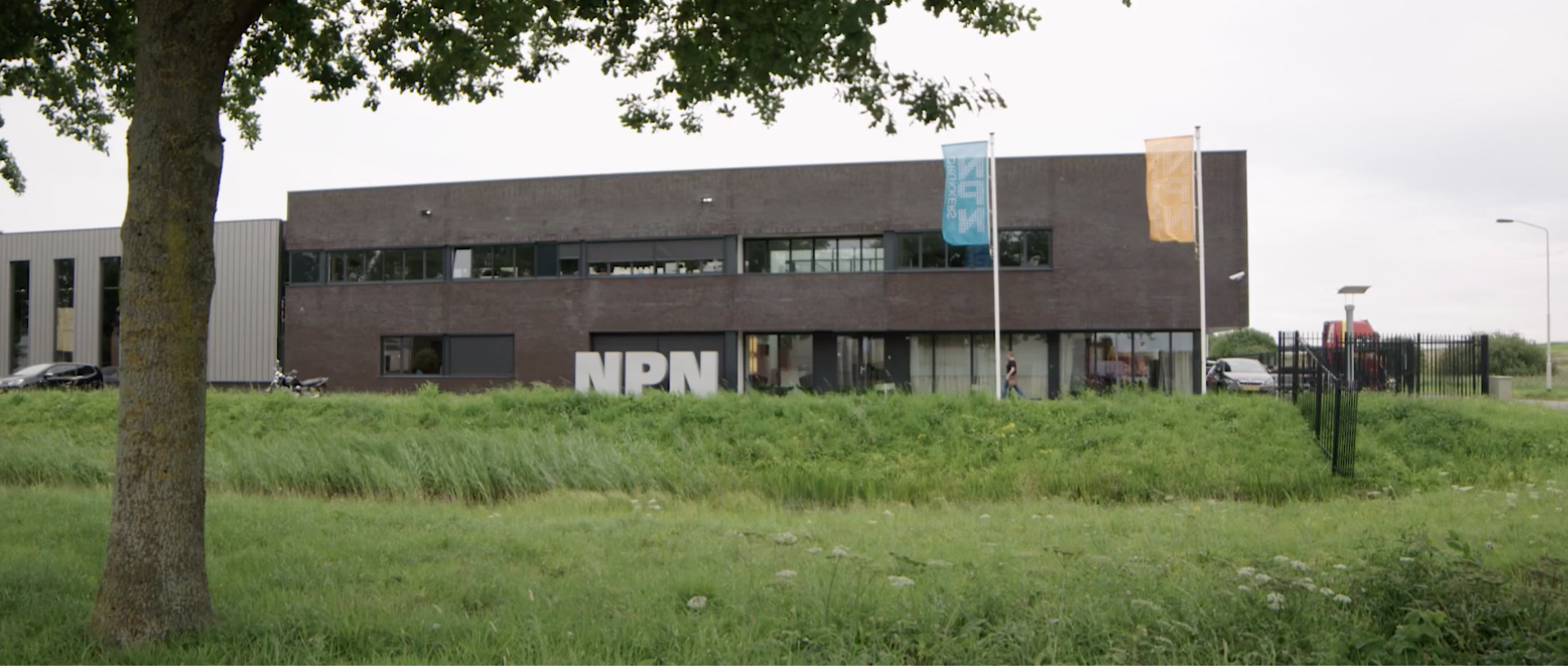gebouw NPN drukkers met boom op voorgrond